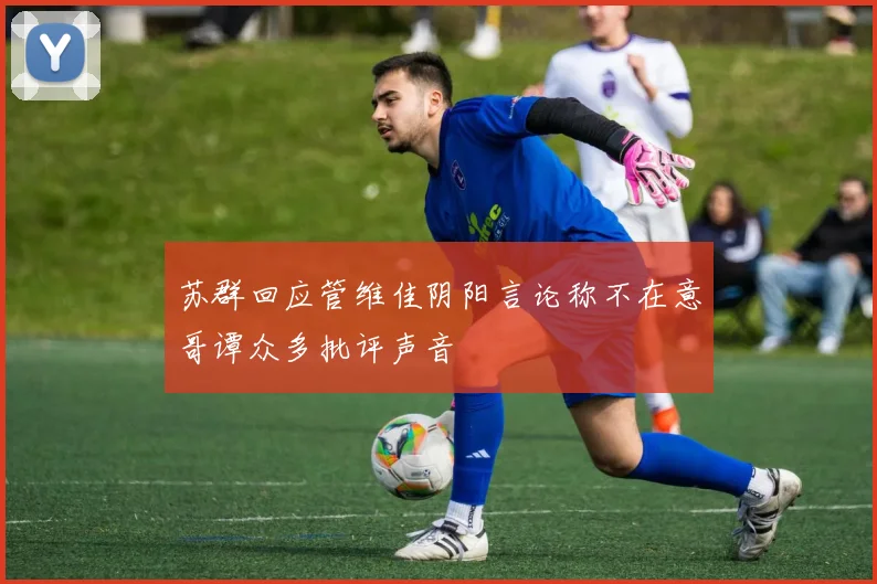 苏群回应管维佳阴阳言论称不在意哥谭众多批评声音