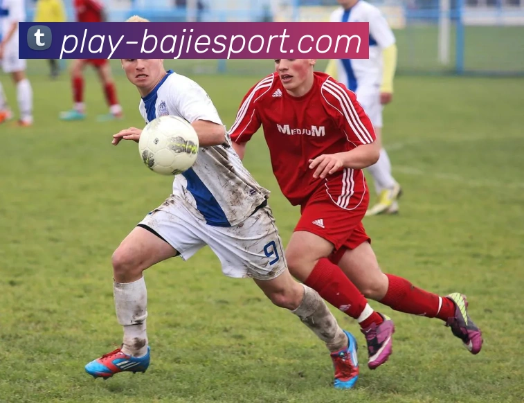 八戒体育发展历程